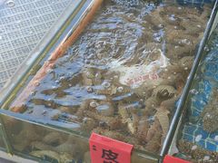 -南湾海鲜餐厅(南澳海鲜街店)