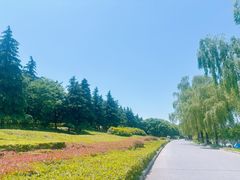 -洨河生态公园