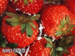 -百果园PAGODA(应元路店)