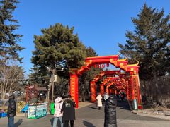 -长春市南湖公园