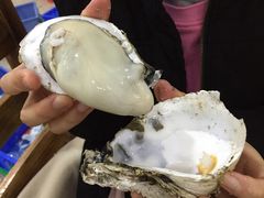 -蚝专家(北滘店)