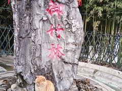 -红螺寺