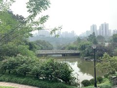 -龙头寺公园
