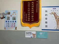 -谐和益家动物医院·免疫绝育·血液透析·宠保定点医院(高新伊藤分院)