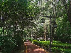 -西安汉城湖景区