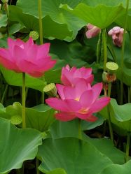 -大望京儿童游乐场