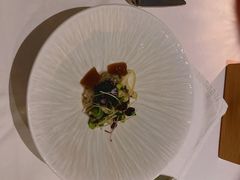 -蝶舍·MAISON PAPILLON