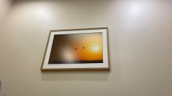 -北京米扬丽格医疗美容·联合丽格鼻整形中心