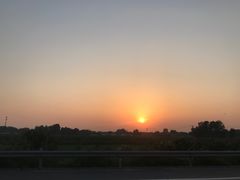 会跳舞的钢管鸡-映像徐州(滨湖店)