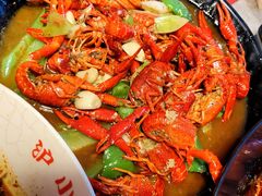 黄焖龙虾-沪小胖小龙虾(淮海中路旗舰店)