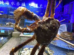 -香港海洋公园