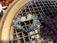 -伍棵煋炭烤自助料理·烤鳗鱼(浦东食品城店)