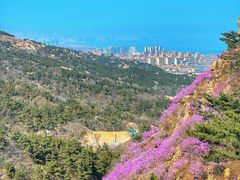 -青岛大珠山景区