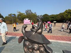 -广东惠东海龟国家级自然保护区