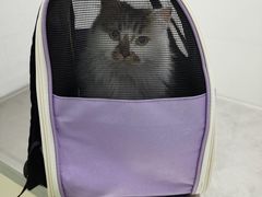 -汪喵宠物医院·骨科心脏影像·犬猫急重症ICU诊疗中心(成华分院)