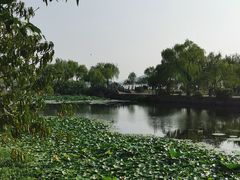 -无锡蠡湖国家湿地公园-蠡园