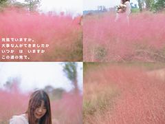 -白鹭湾湿地公园