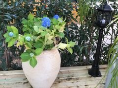 -NLFS1983咖啡花园餐厅(锦桂店)