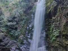 -莫里热带雨林景区