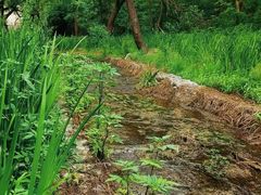 -白水寺森林公园