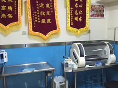 治疗区.jpg-康爱犬猫诊所·牙专科·骨外科·影像内科(丰宁店)