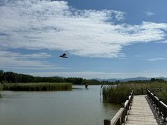 -野鸭湖国家湿地公园