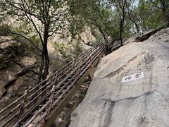 -北京凤凰岭