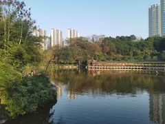 -龙头寺公园
