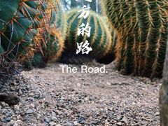-南山植物园