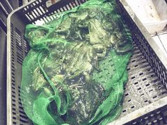 -销魂美蛙鱼头火锅(上海首店)