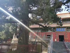 -北京国子监胡同