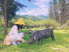 -硗碛藏寨·神木垒景区