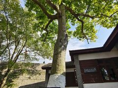 -蒋经国旧居