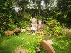 -呼吸森林·生态农庄农家乐私房菜