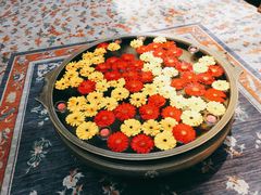 -松赞拉萨林卡酒店