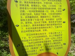 -大岭沟猕猴桃谷风景区