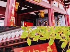 -灵谷景区