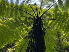 -赤水丹霞旅游区·佛光岩