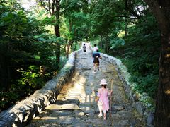 -阳台山自然风景区