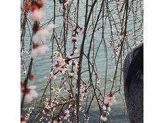 -白塘生态植物园