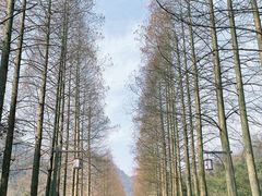 -青城山