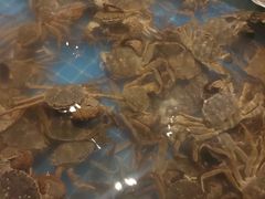 -星伦多自助料理(江阴万达店)