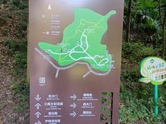 -上海佘山国家森林公园天马山园