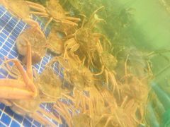 -丰卓会海鲜自助(中润大道店)