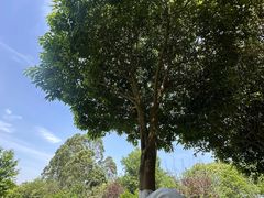 -白鹭湾湿地公园