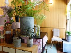 -蝶舍·MAISON PAPILLON