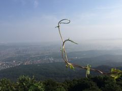 -紫金山山顶公园