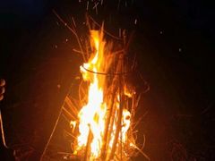 -前小桔亲子创意农场·草莓采摘·露营烧烤