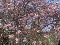 -北京航空航天大学-图书馆