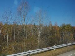 android_upload_pic-五营红松林海景区